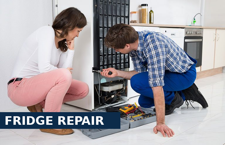 Fridge Repair Leatherhead